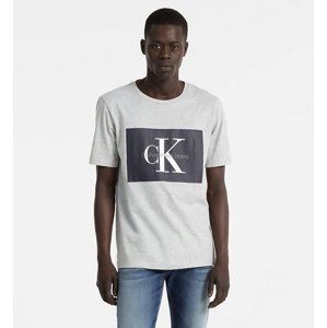 Calvin Klein pánské šedé tričko s potiskem - XL (38)